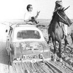 Reisende in der Wüste (1956)